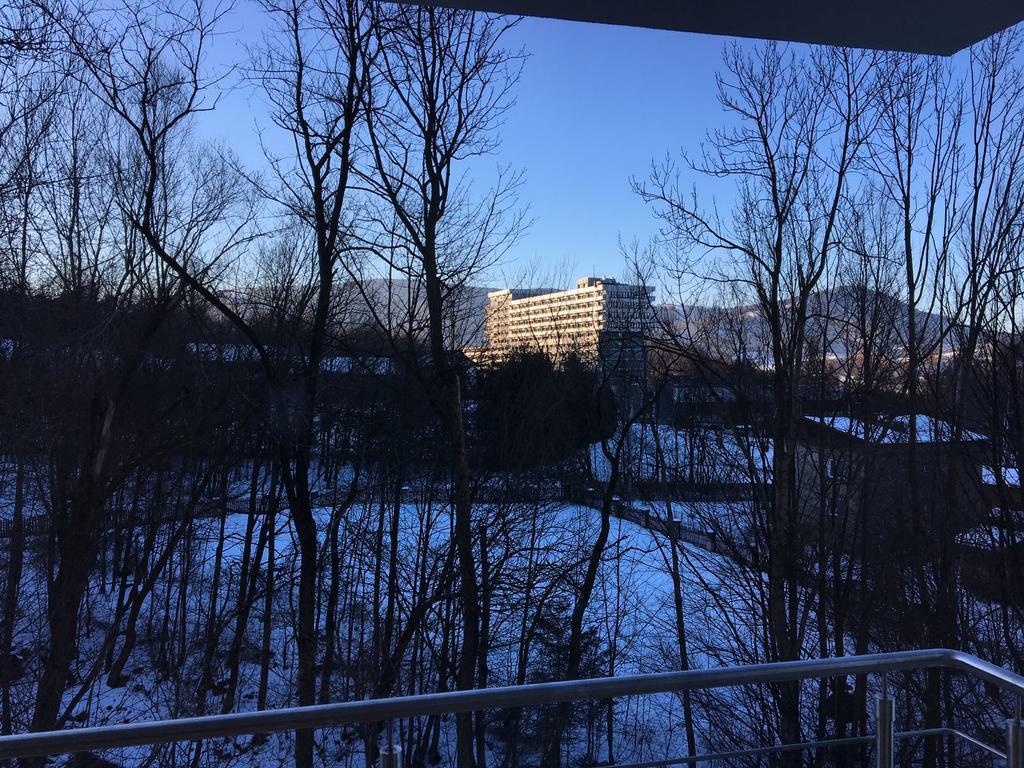 Apartamenty Nad Potoczkiem Ustroń Esterno foto