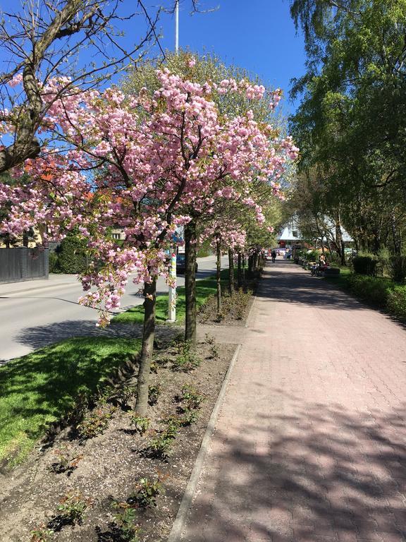 Apartamenty Nad Potoczkiem Ustroń Esterno foto